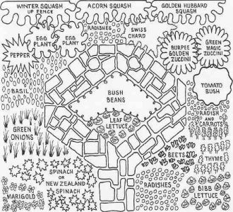 Compact Garden Plan Drawings for Small Spaces